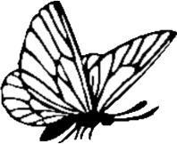 papillon du logo camping aquarev